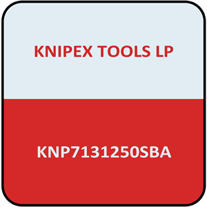 71 31 250 SBA Knipex Carded 10" Cobolt Bolt Cutter W/ Notched Blade